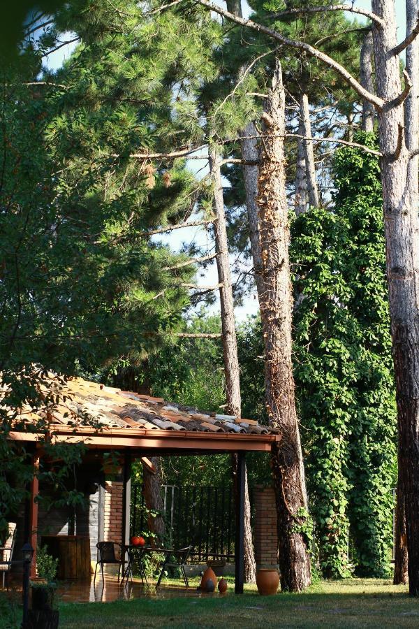 Hotel Უცხო-Utskho Tel Avi Exterior foto
