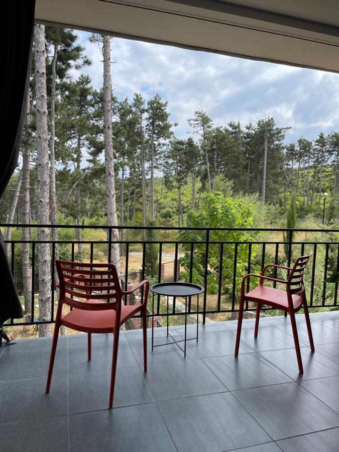 Hotel Უცხო-Utskho Tel Avi Exterior foto